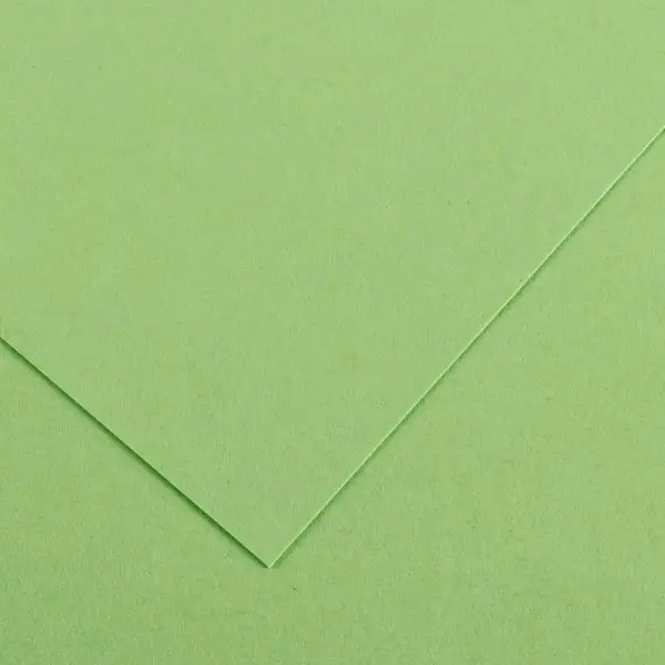 Foglio Colorline - 70x100 cm - 220 gr - verde mela - Canson