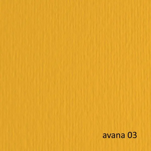 Cartoncino Elle Erre - 50 x 70 cm - 220 gr - avana 103 - Fabriano - blister 20 fogli