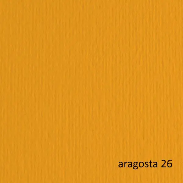 Cartoncino Elle Erre - 50 x 70 cm - 220 gr - aragosta 26 - Fabriano - blister 20 fogli