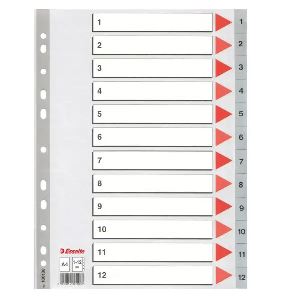 Separatore numerico 1/12 - PP - A4 - 22,5x29,7 cm - grigio - Esselte