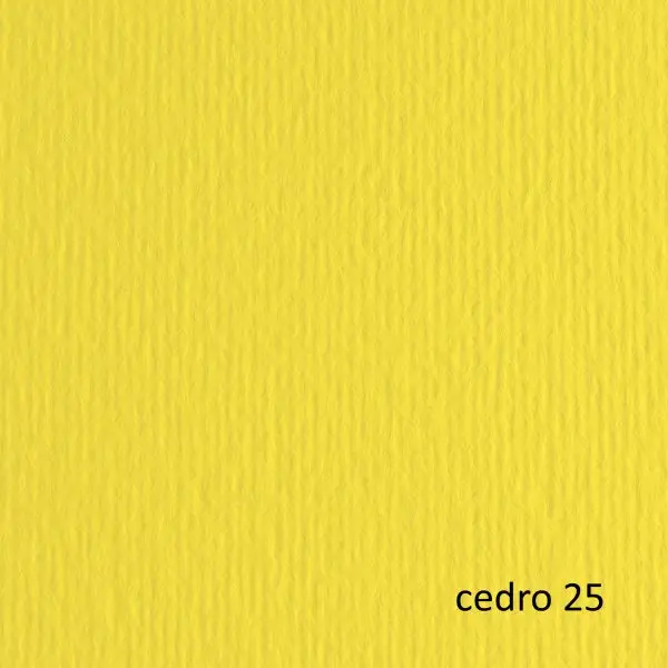 Cartoncino Elle Erre - 50 x 70 cm - 220 gr - cedro 25 - Fabriano - blister 20 fogli