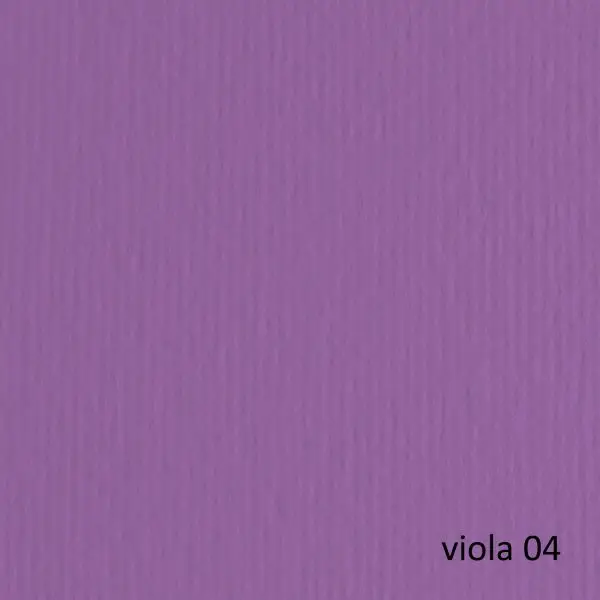 Cartoncino Elle Erre - 70 x 100 cm - 220 gr - viola 104 - Fabriano - blister 10 fogli