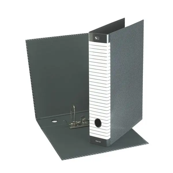 Registratore Delso Line G14 - dorso 5 cm - protocollo 23 x 33 cm - grigio - Esselte