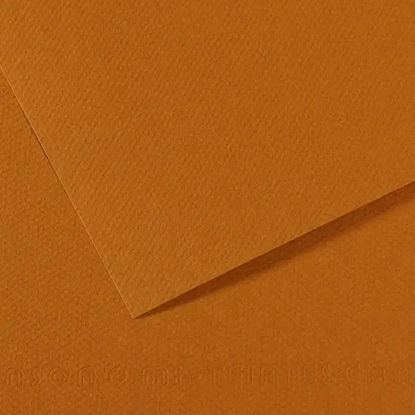 Foglio Mi-Teintes - A4 - 160 gr - avana chiaro - Canson