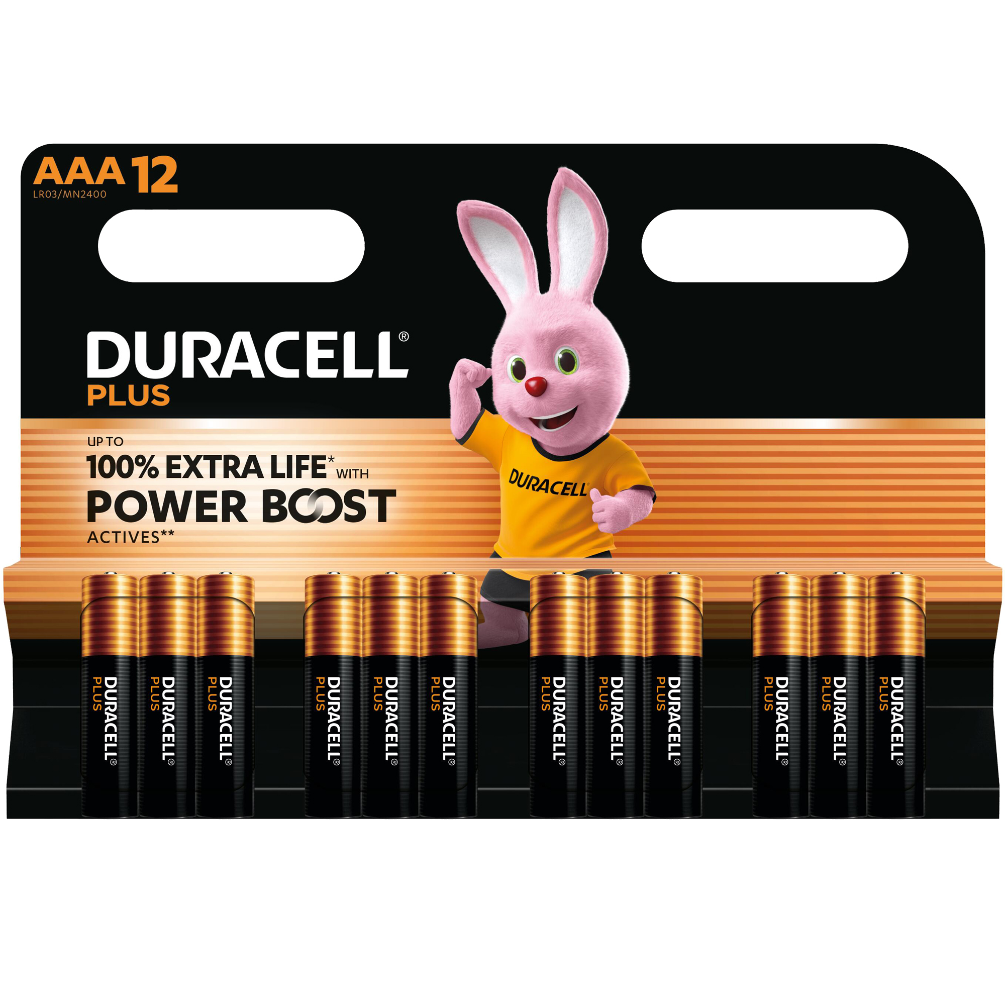 103670 Pila ministilo AAA - 1,5V - Plus Powerboost - MN2400 - Duracell - blister 12 pezzi - immagine 1